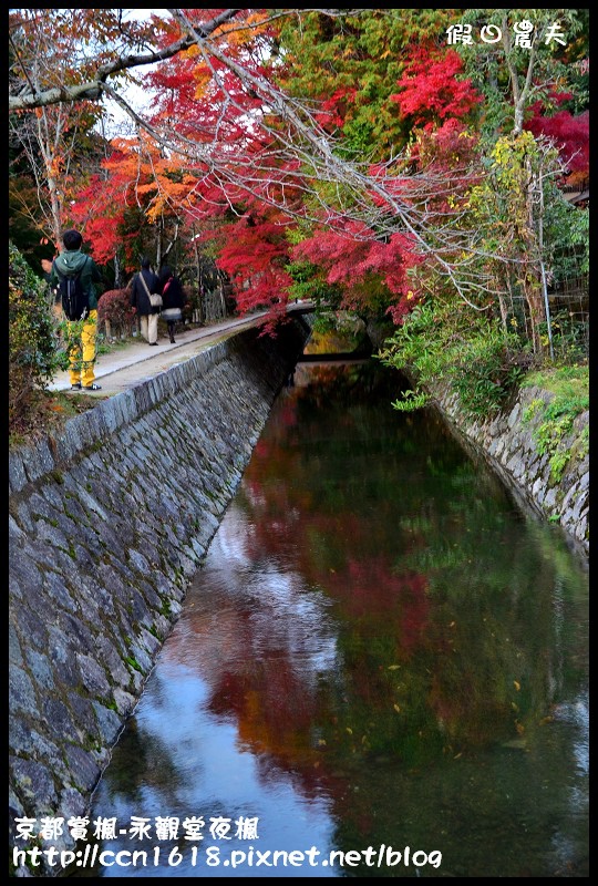 【日本旅遊】京都大阪賞楓自由行‧永觀堂夜楓‧楓韻猶存 @假日農夫愛趴趴照