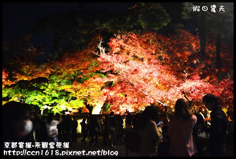 【日本旅遊】京都大阪賞楓自由行‧永觀堂夜楓‧楓韻猶存 @假日農夫愛趴趴照