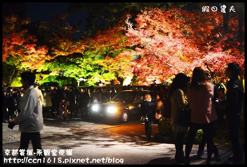 【日本旅遊】京都大阪賞楓自由行‧永觀堂夜楓‧楓韻猶存 @假日農夫愛趴趴照