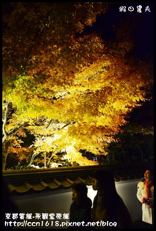 【日本旅遊】京都大阪賞楓自由行‧永觀堂夜楓‧楓韻猶存 @假日農夫愛趴趴照