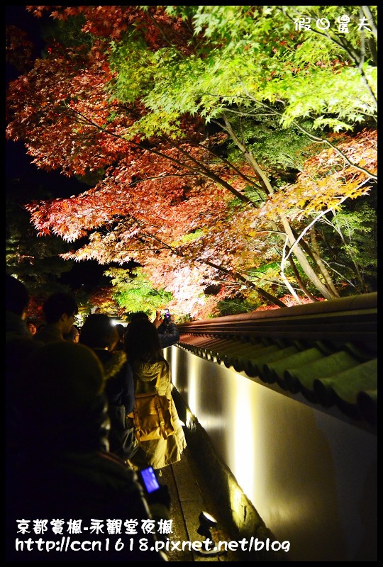 【日本旅遊】京都大阪賞楓自由行‧永觀堂夜楓‧楓韻猶存 @假日農夫愛趴趴照