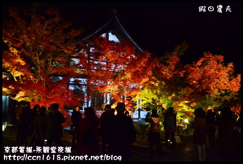 【日本旅遊】京都大阪賞楓自由行‧永觀堂夜楓‧楓韻猶存 @假日農夫愛趴趴照