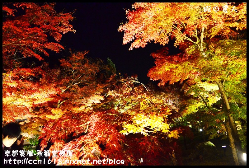 【日本旅遊】京都大阪賞楓自由行‧永觀堂夜楓‧楓韻猶存 @假日農夫愛趴趴照