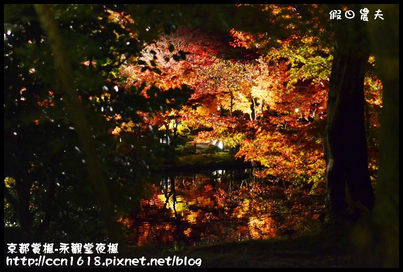 【日本旅遊】京都大阪賞楓自由行‧永觀堂夜楓‧楓韻猶存 @假日農夫愛趴趴照