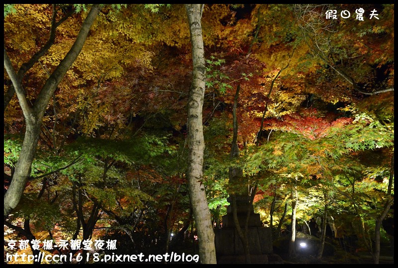 【日本旅遊】京都大阪賞楓自由行‧永觀堂夜楓‧楓韻猶存 @假日農夫愛趴趴照