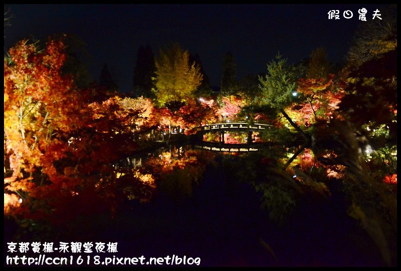 【日本旅遊】京都大阪賞楓自由行‧永觀堂夜楓‧楓韻猶存 @假日農夫愛趴趴照