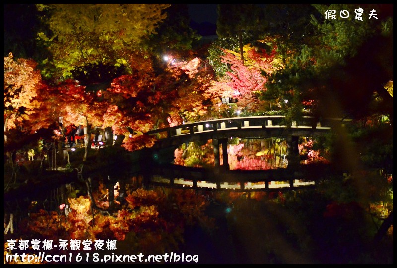 【日本旅遊】京都大阪賞楓自由行‧永觀堂夜楓‧楓韻猶存 @假日農夫愛趴趴照