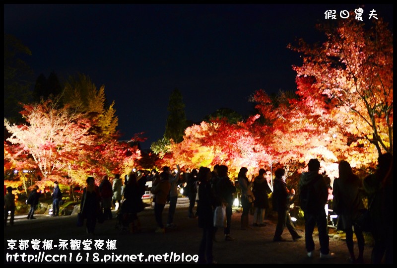 【日本旅遊】京都大阪賞楓自由行‧永觀堂夜楓‧楓韻猶存 @假日農夫愛趴趴照