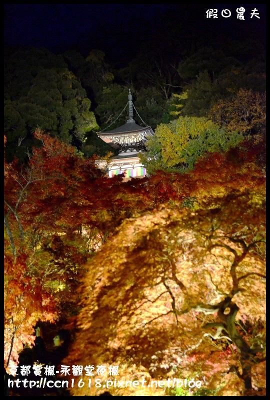 【日本旅遊】京都大阪賞楓自由行‧永觀堂夜楓‧楓韻猶存 @假日農夫愛趴趴照