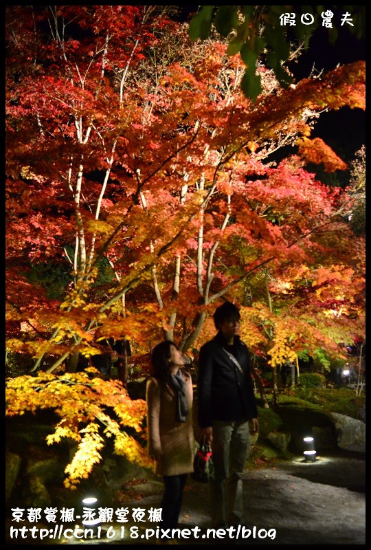 【日本旅遊】京都大阪賞楓自由行‧永觀堂夜楓‧楓韻猶存 @假日農夫愛趴趴照