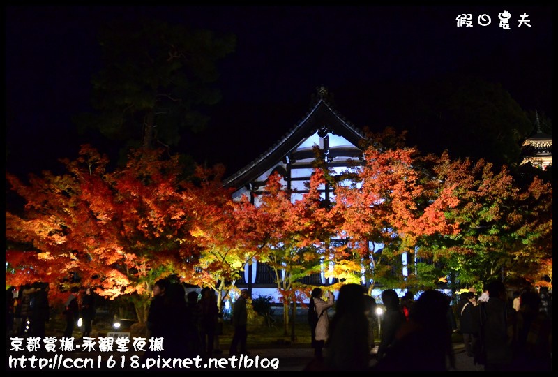 【日本旅遊】京都大阪賞楓自由行‧永觀堂夜楓‧楓韻猶存 @假日農夫愛趴趴照