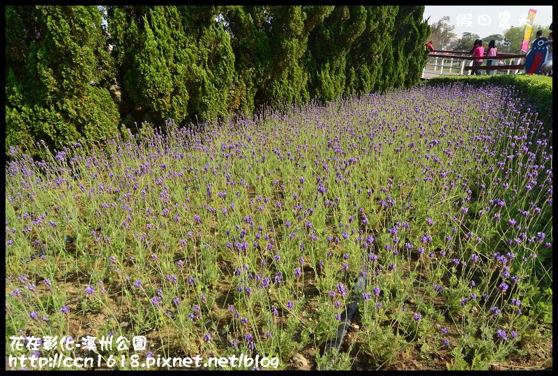 【彰化景點】2014花在彰化‧彰化溪州公園‧改名費茲洛公園 @假日農夫愛趴趴照