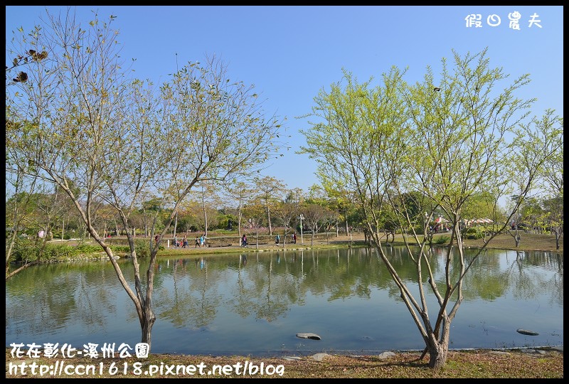 【彰化景點】2014花在彰化‧彰化溪州公園‧改名費茲洛公園 @假日農夫愛趴趴照