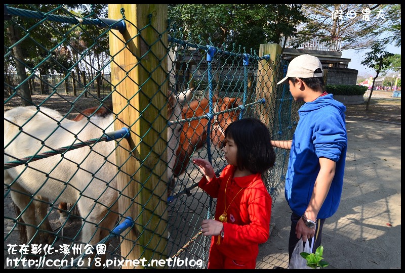 【彰化景點】2014花在彰化‧彰化溪州公園‧改名費茲洛公園 @假日農夫愛趴趴照