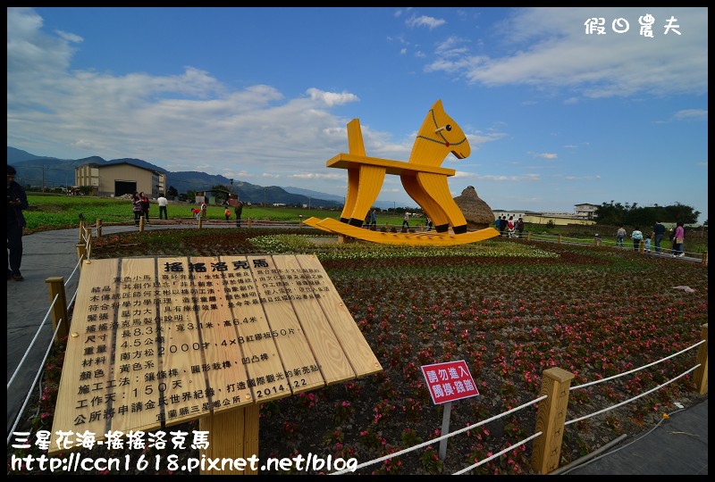 【宜蘭新景點】三星花海．搖搖洛克馬．療癒系黃色大木馬力拼黃色小鴨 @假日農夫愛趴趴照