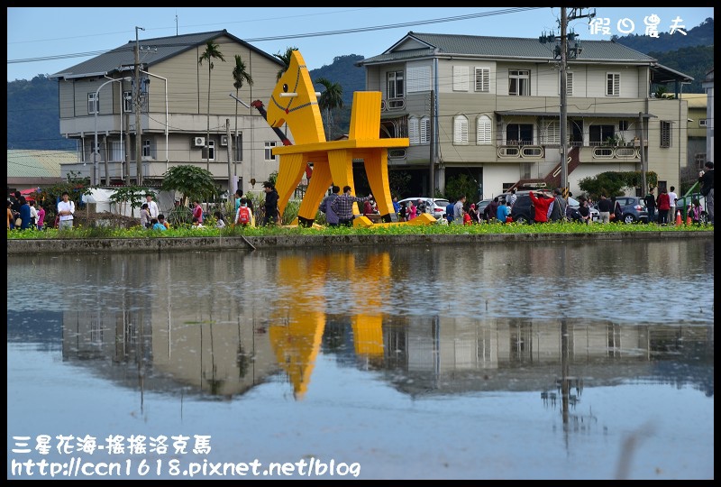 【宜蘭新景點】三星花海．搖搖洛克馬．療癒系黃色大木馬力拼黃色小鴨 @假日農夫愛趴趴照