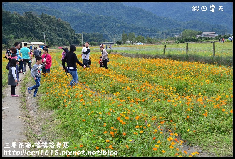 【宜蘭新景點】三星花海．搖搖洛克馬．療癒系黃色大木馬力拼黃色小鴨 @假日農夫愛趴趴照