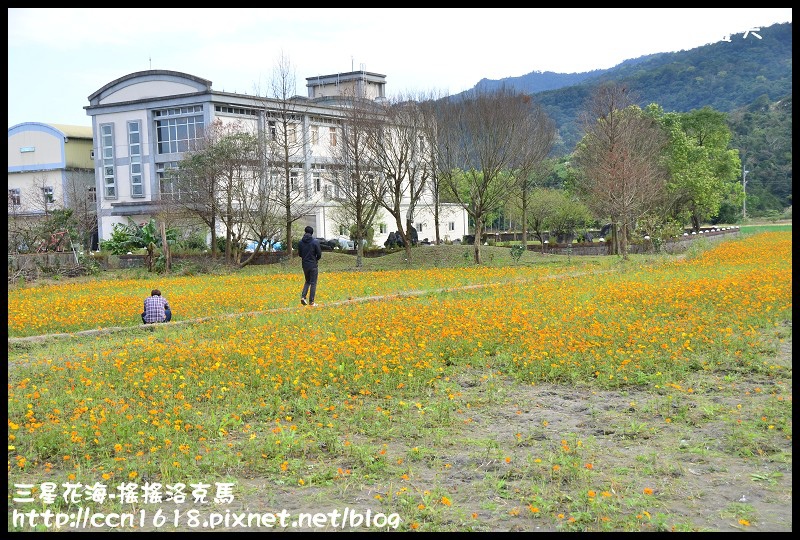 【宜蘭新景點】三星花海．搖搖洛克馬．療癒系黃色大木馬力拼黃色小鴨 @假日農夫愛趴趴照