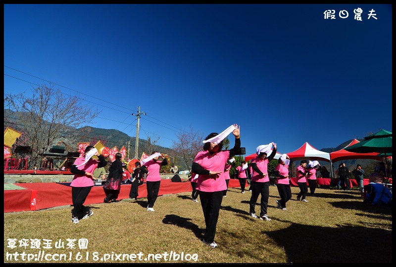 【農夫愛賞花】草坪頭玉山茶園‧櫻櫻期盼會佳人(賞櫻2) @假日農夫愛趴趴照