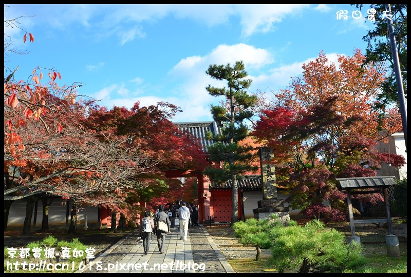 【日本旅遊】京都大阪賞楓自由行‧真如堂‧楓情萬種 @假日農夫愛趴趴照