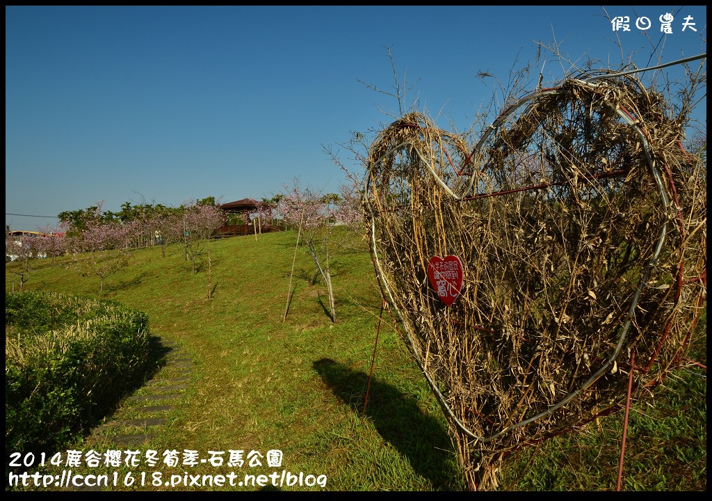 南投景點|鹿谷小半天石馬公園河津櫻花開了/2018鹿谷櫻花冬筍季/免費賞櫻 @假日農夫愛趴趴照