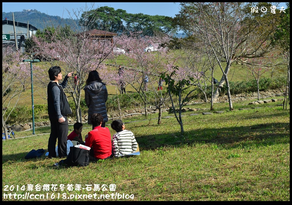 南投景點|鹿谷小半天石馬公園河津櫻花開了/2018鹿谷櫻花冬筍季/免費賞櫻 @假日農夫愛趴趴照