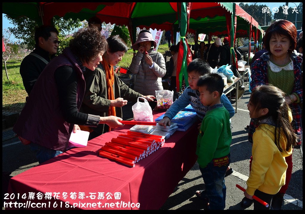 南投景點|鹿谷小半天石馬公園河津櫻花開了/2018鹿谷櫻花冬筍季/免費賞櫻 @假日農夫愛趴趴照