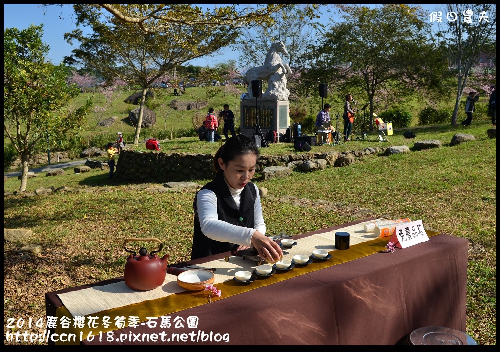 南投景點|鹿谷小半天石馬公園河津櫻花開了/2018鹿谷櫻花冬筍季/免費賞櫻 @假日農夫愛趴趴照