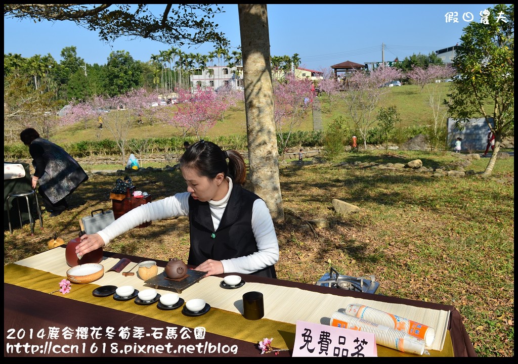 南投景點|鹿谷小半天石馬公園河津櫻花開了/2018鹿谷櫻花冬筍季/免費賞櫻 @假日農夫愛趴趴照