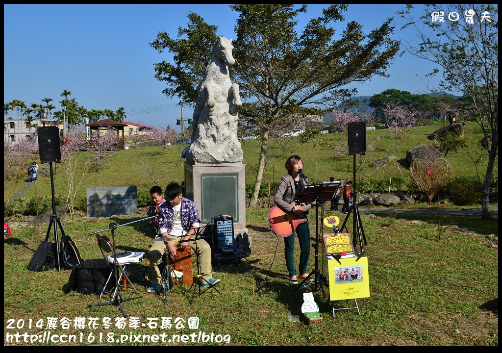 南投景點|鹿谷小半天石馬公園河津櫻花開了/2018鹿谷櫻花冬筍季/免費賞櫻 @假日農夫愛趴趴照