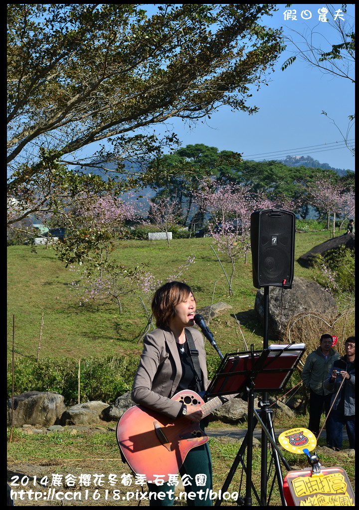 南投景點|鹿谷小半天石馬公園河津櫻花開了/2018鹿谷櫻花冬筍季/免費賞櫻 @假日農夫愛趴趴照