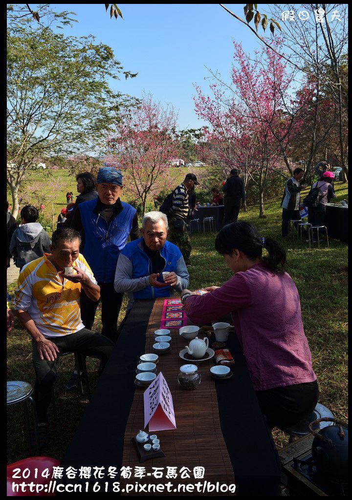 南投景點|鹿谷小半天石馬公園河津櫻花開了/2018鹿谷櫻花冬筍季/免費賞櫻 @假日農夫愛趴趴照