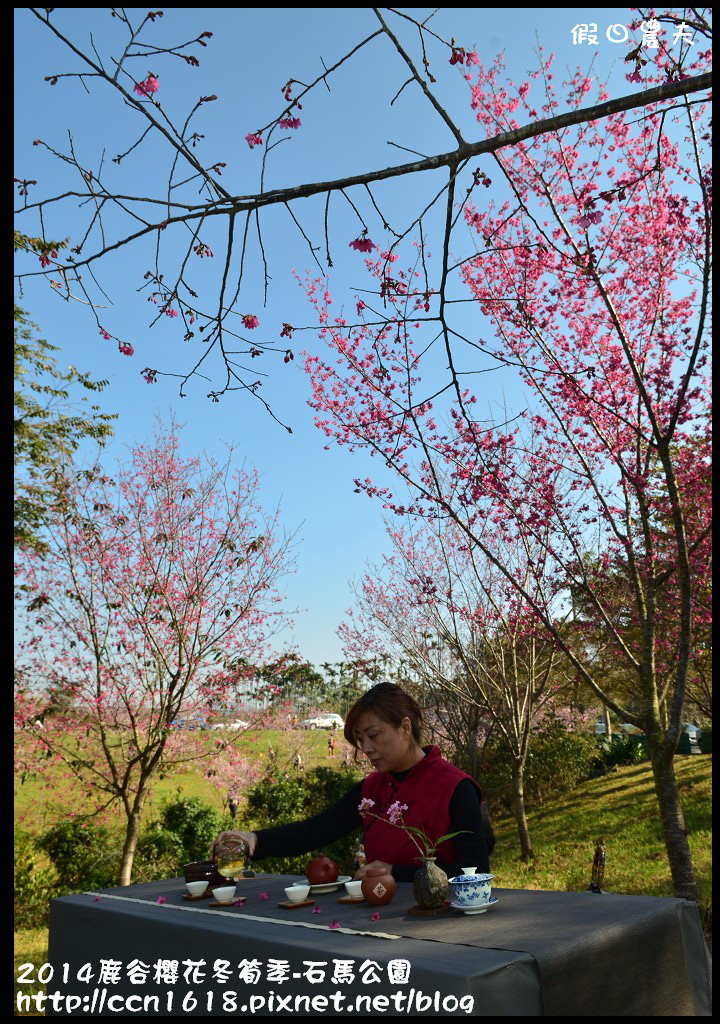 南投景點|鹿谷小半天石馬公園河津櫻花開了/2018鹿谷櫻花冬筍季/免費賞櫻 @假日農夫愛趴趴照