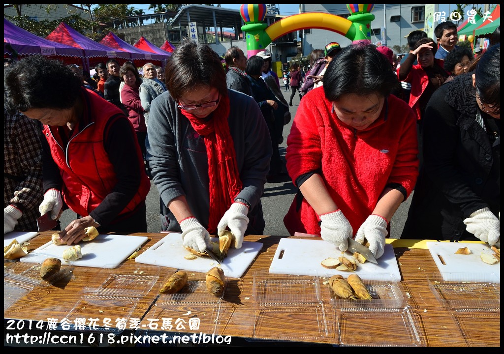 南投景點|鹿谷小半天石馬公園河津櫻花開了/2018鹿谷櫻花冬筍季/免費賞櫻 @假日農夫愛趴趴照