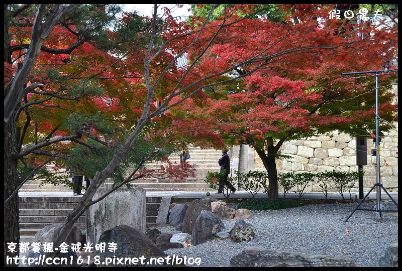 【日本旅遊】京都大阪賞楓自由行‧金戒光明寺‧戀戀楓情 @假日農夫愛趴趴照