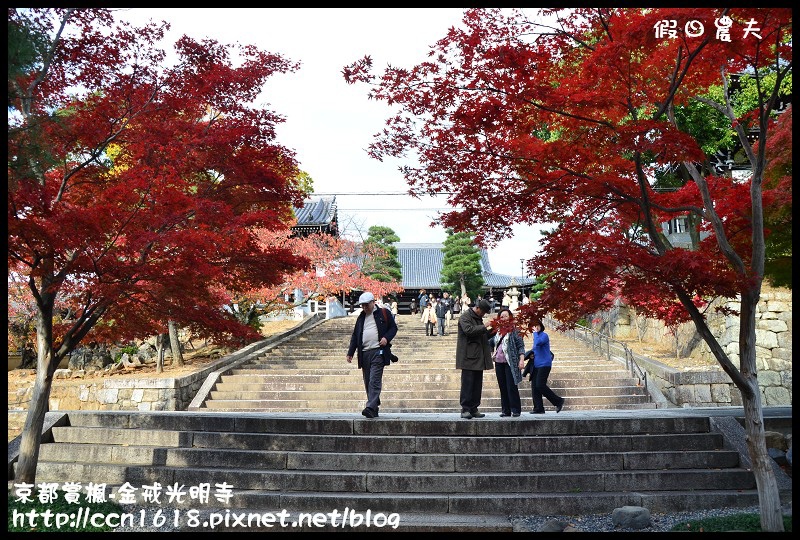 【日本旅遊】京都大阪賞楓自由行‧金戒光明寺‧戀戀楓情 @假日農夫愛趴趴照