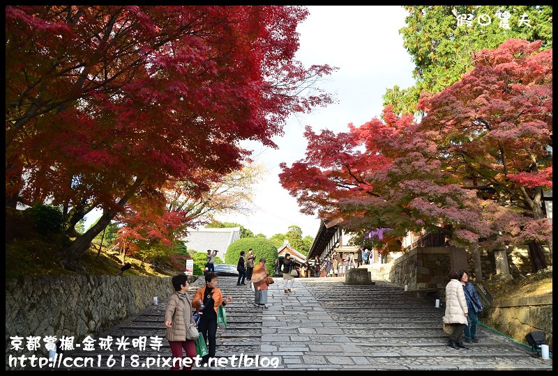 【日本旅遊】京都大阪賞楓自由行‧金戒光明寺‧戀戀楓情 @假日農夫愛趴趴照