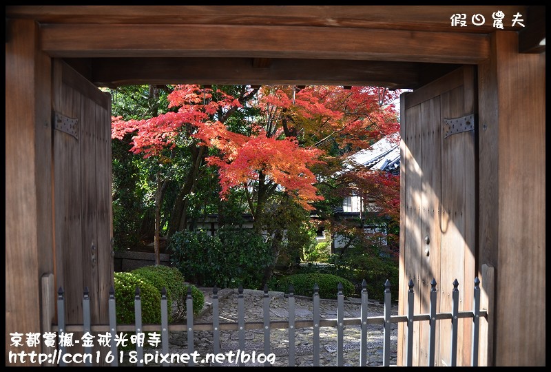 【日本旅遊】京都大阪賞楓自由行‧金戒光明寺‧戀戀楓情 @假日農夫愛趴趴照