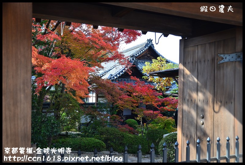 【日本旅遊】京都大阪賞楓自由行‧金戒光明寺‧戀戀楓情 @假日農夫愛趴趴照