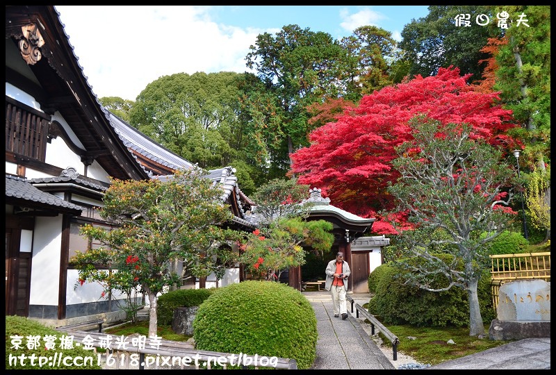 【日本旅遊】京都大阪賞楓自由行‧金戒光明寺‧戀戀楓情 @假日農夫愛趴趴照