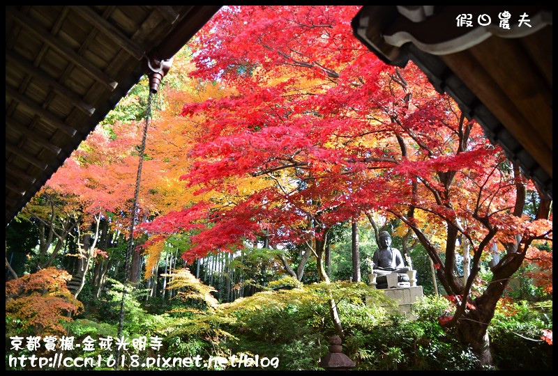 【日本旅遊】京都大阪賞楓自由行‧金戒光明寺‧戀戀楓情 @假日農夫愛趴趴照