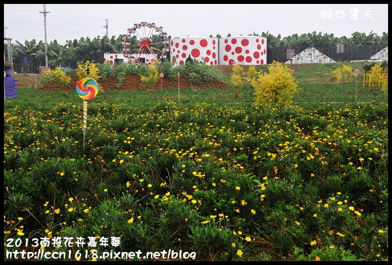 【農夫愛賞花】2013南投花卉嘉年華‧花開全南投～幸福亮起來 @假日農夫愛趴趴照