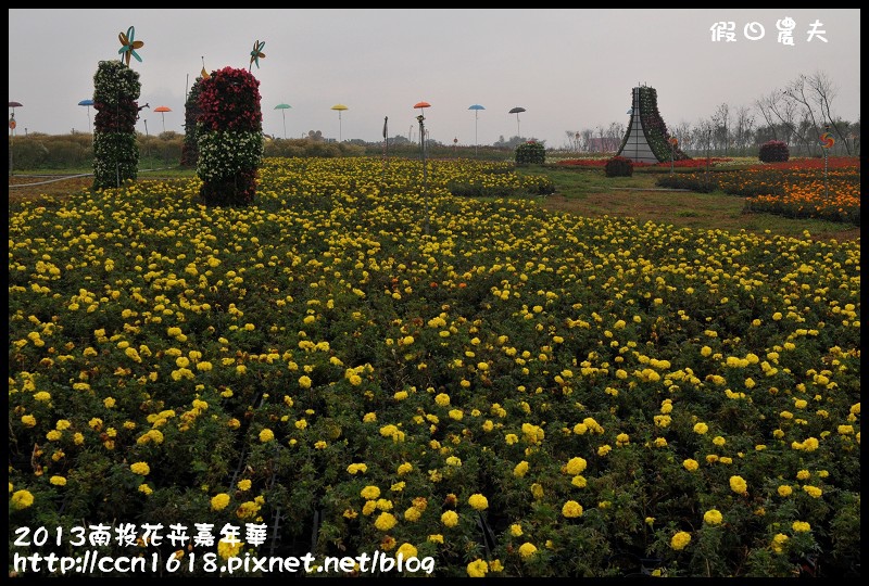 【農夫愛賞花】2013南投花卉嘉年華‧花開全南投～幸福亮起來 @假日農夫愛趴趴照