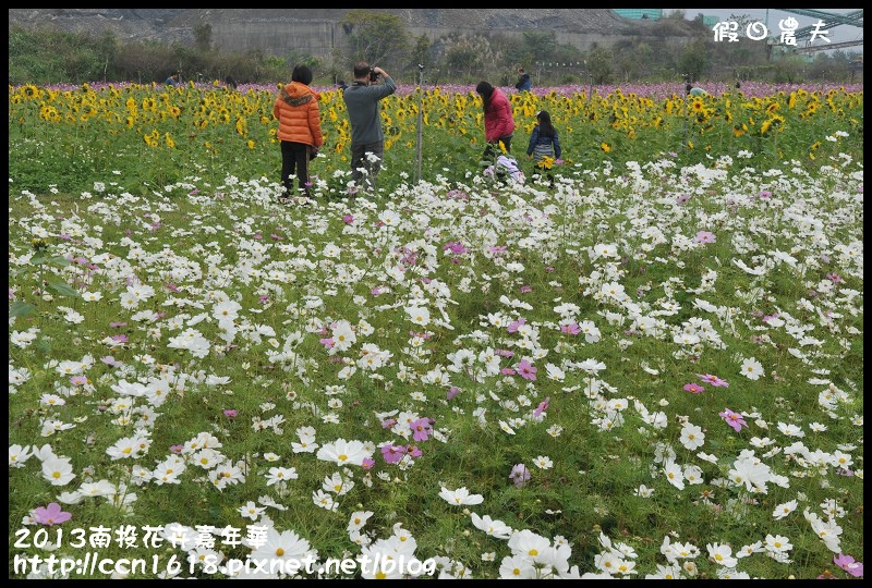 【農夫愛賞花】2013南投花卉嘉年華‧花開全南投～幸福亮起來 @假日農夫愛趴趴照