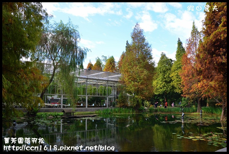 【彰化景點】美麗落羽松就在田尾菁芳園‧欣賞美景免出國 @假日農夫愛趴趴照