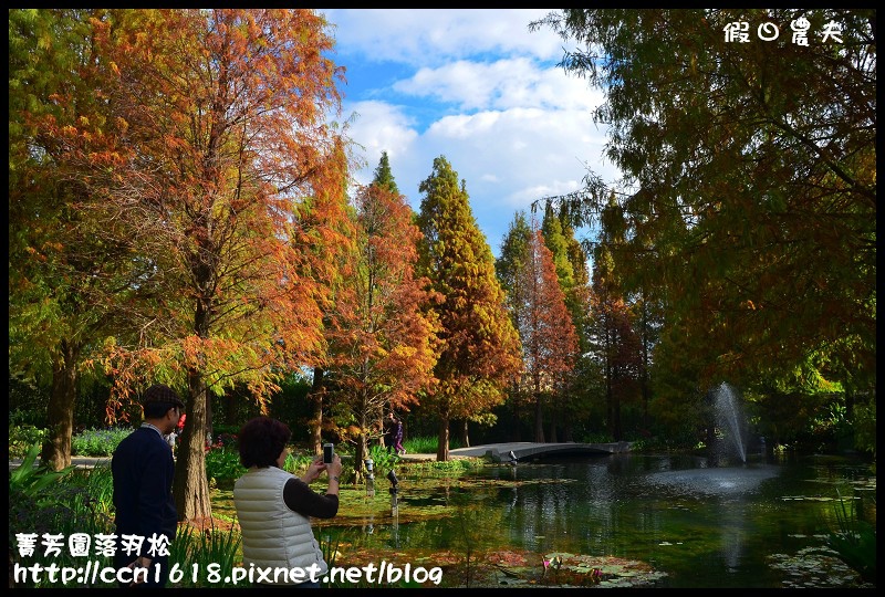 【彰化景點】美麗落羽松就在田尾菁芳園‧欣賞美景免出國 @假日農夫愛趴趴照