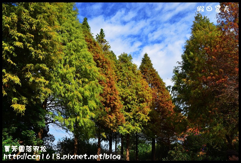 【彰化景點】美麗落羽松就在田尾菁芳園‧欣賞美景免出國 @假日農夫愛趴趴照