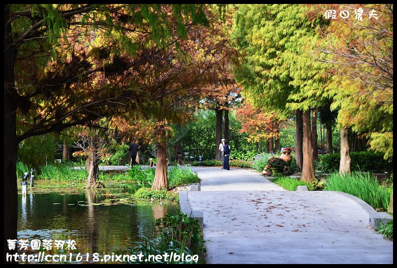 【彰化景點】美麗落羽松就在田尾菁芳園‧欣賞美景免出國 @假日農夫愛趴趴照