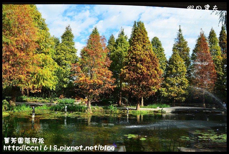 【彰化景點】美麗落羽松就在田尾菁芳園‧欣賞美景免出國 @假日農夫愛趴趴照