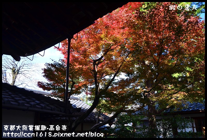 【日本旅遊】京都大阪賞楓自由行‧高台寺‧為你楓狂 @假日農夫愛趴趴照